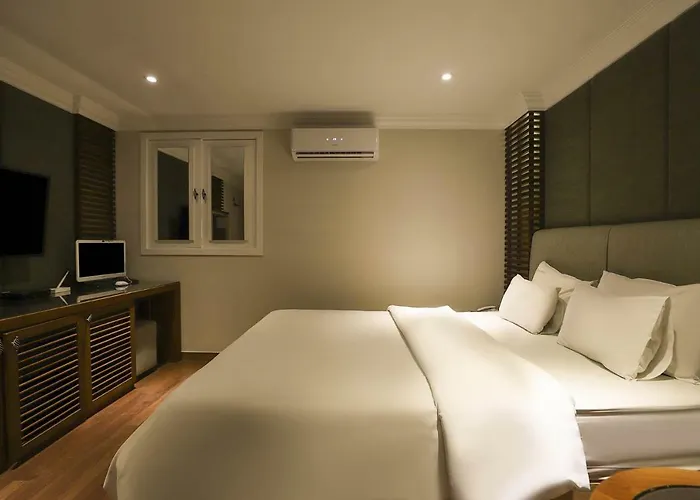 Hotel Demian Seoel